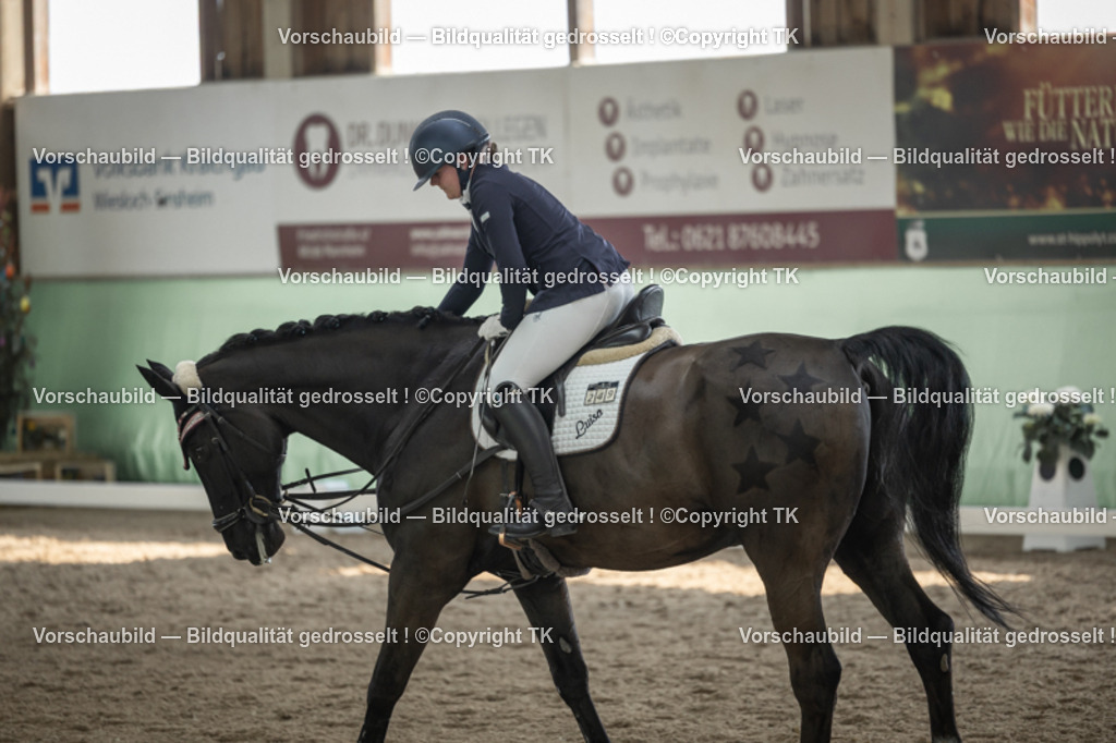 _D5A5822 | Emotionale Pferde- & People-Fotografie rund um Heidelberg, Leimen & Umgebung. Natürliche Fotos von Pferd, Mensch & Familie. Jetzt Termin sichern!