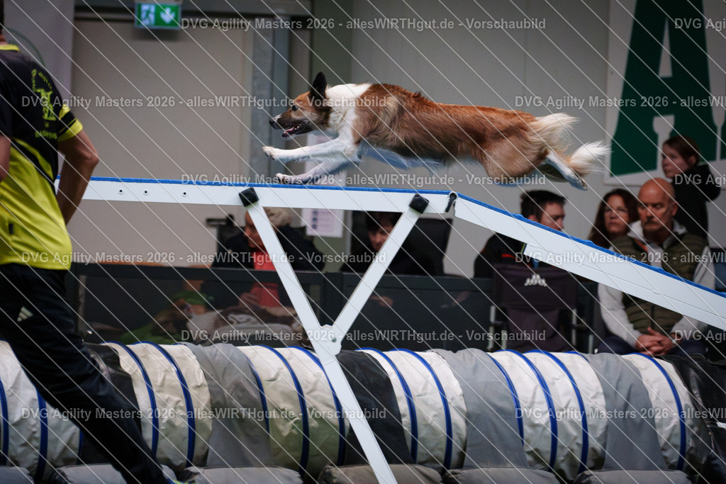 allesWIRTHgut_Tierfotografie-DVG_Agility_Masters_2026-16_52-7R508901 | Professionelle Tierfotografie in Mönchengladbach von Daniel Wirth (allesWIRTHgut). Liebevolle & natürliche Bilder von Hunden & Katzen für unvergessliche Erinnerungen.