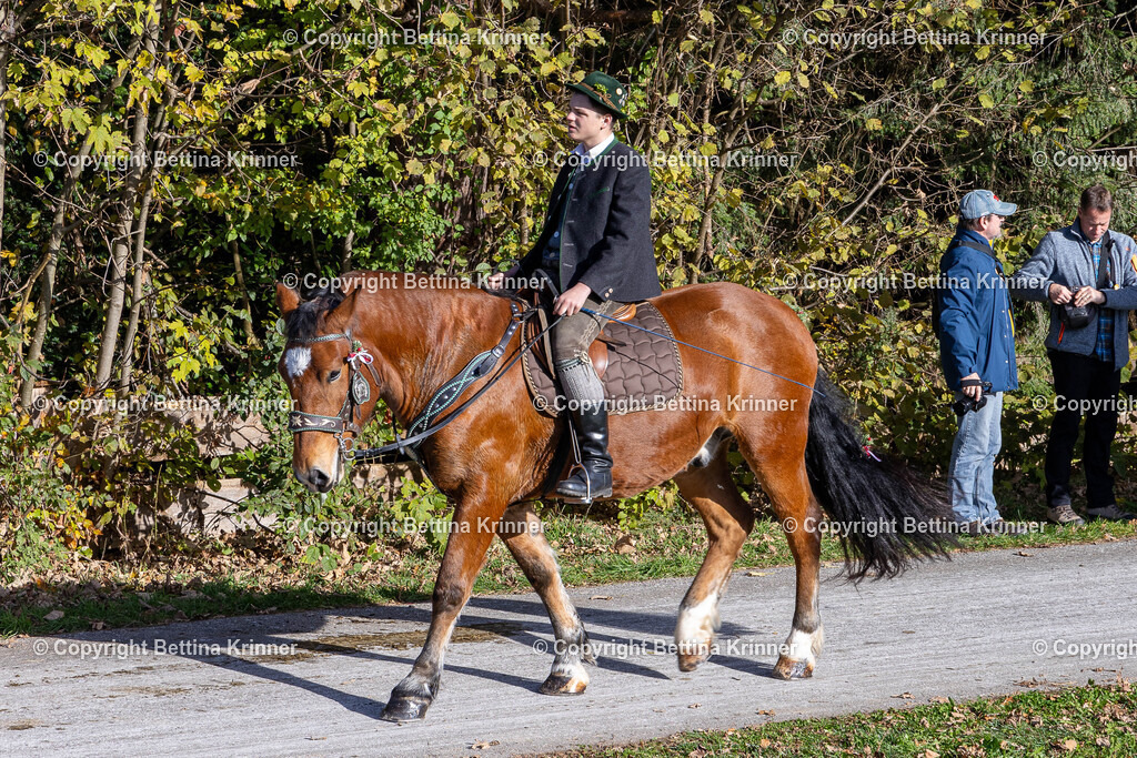 LBT24-965 | foto-bettina-krinner - Realisiert mit Pictrs.com