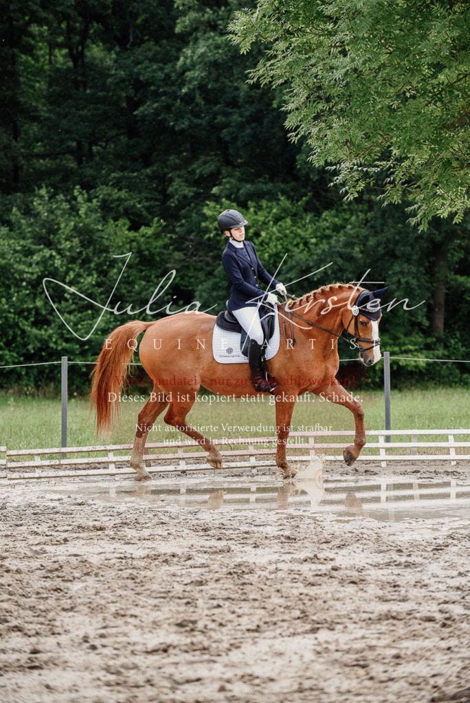 DSC_9964 | Pferde- und Turnierfotografie in Westsachsen. Pferdeportraits, Auftragszeichnungen und intuitive Kunst.