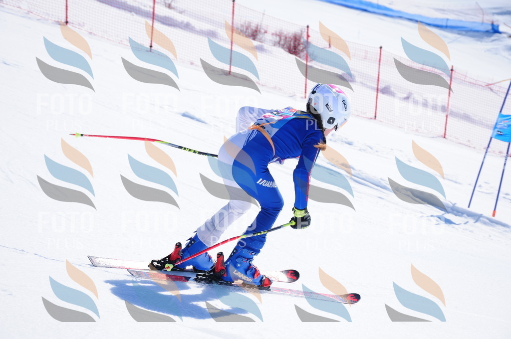 DSC_3679 | holidayphoto