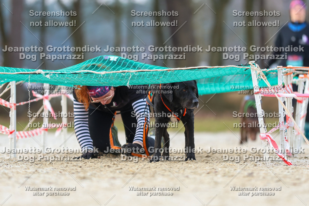 Dog Paparazzi - Strongdog North Mrz26-3876 | Dog Paparazzi Jeanette Grottendiek Fotografie & Videografie - Realisiert mit Pictrs.com