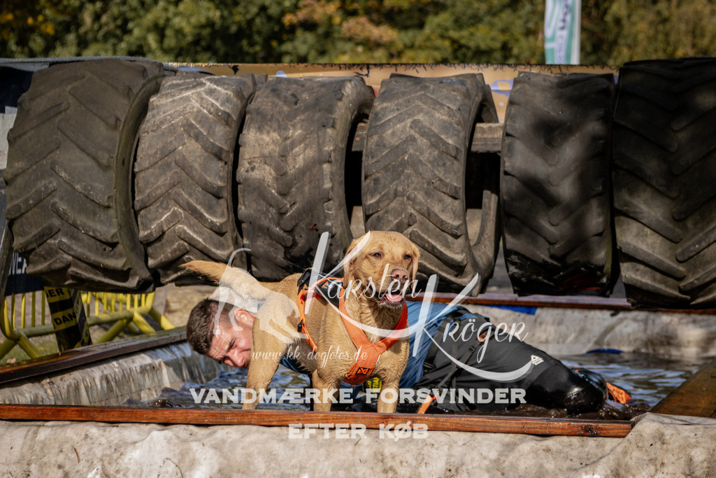 1311_ZZ92150 | kk-dogfotos