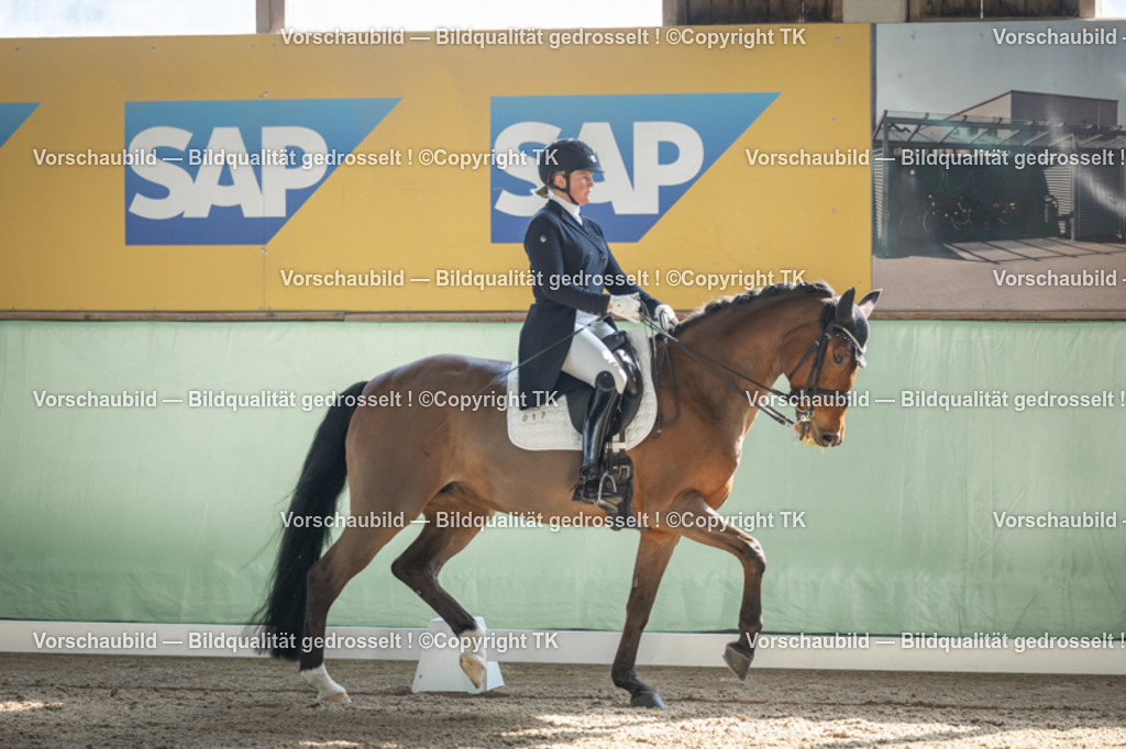 _D5A9680 | Emotionale Pferde- & People-Fotografie rund um Heidelberg, Leimen & Umgebung. Natürliche Fotos von Pferd, Mensch & Familie. Jetzt Termin sichern!