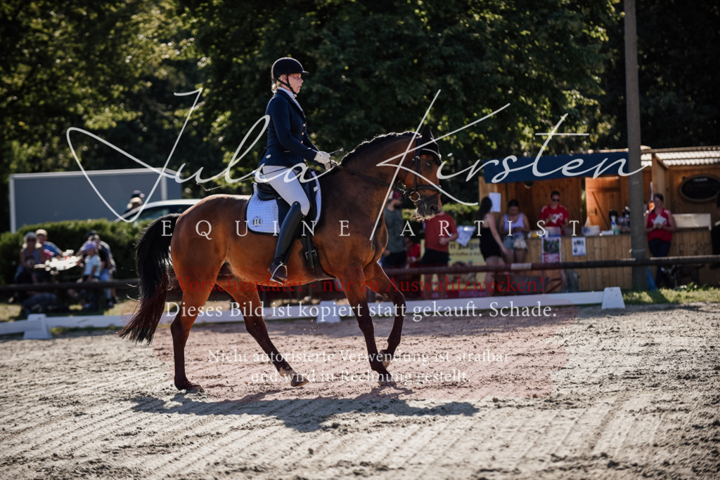 DSC_0416 | Pferde- und Turnierfotografie in Westsachsen. Pferdeportraits, Auftragszeichnungen und intuitive Kunst.
