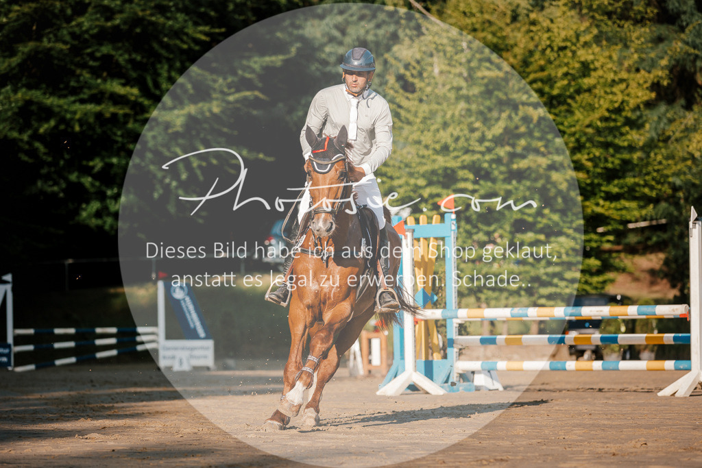 3I6A6078 | Stimmungsvolle Portraits und Reitsportfotografie im Ruhrgebiet und im Münsterland.

Pferdefotografie, Hundefotografie, Tierfotografie, Reportagen, Portraits von Tier und Mensch, Turnierfotografie in Bochum, Recklinghausen, Marl, Haltern am See, Dülmen.. - Realisiert mit Pictrs.com