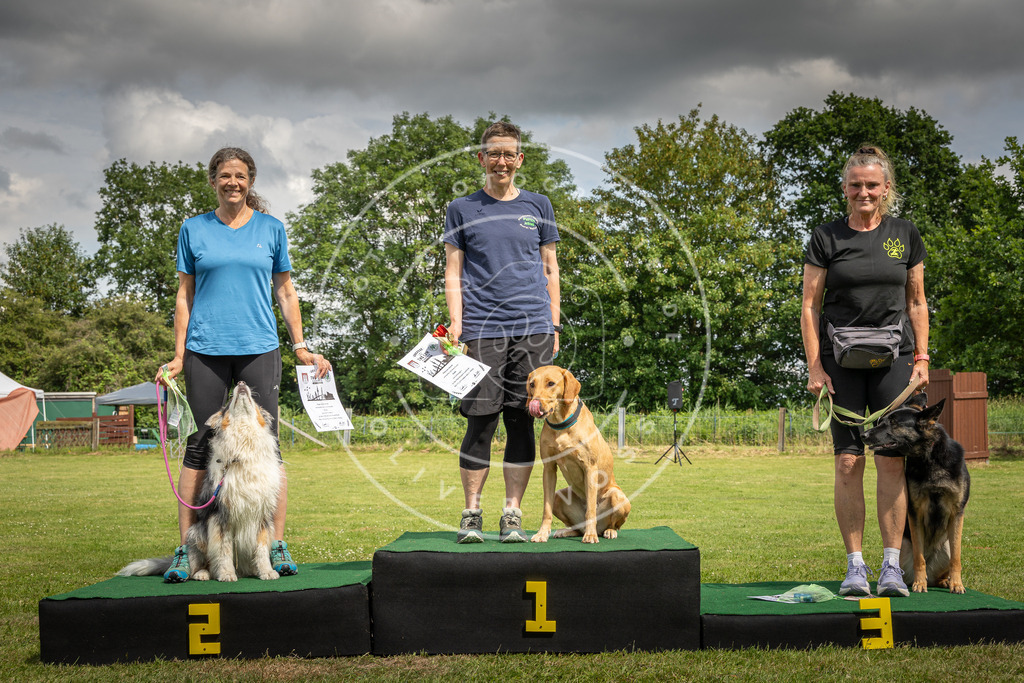 Pfotenfotografie_0L8A4280 | Hundefotografie, Tierfotograf, Pfotenfotografie, Fotoshooting Hund, Hunde Portrait, Hundesport, Hundeportraits, Heideshooting, Hunde, Sportfotograf, Hundefotograf, Turnierhundsport, THS,  - Realisiert mit Pictrs.com