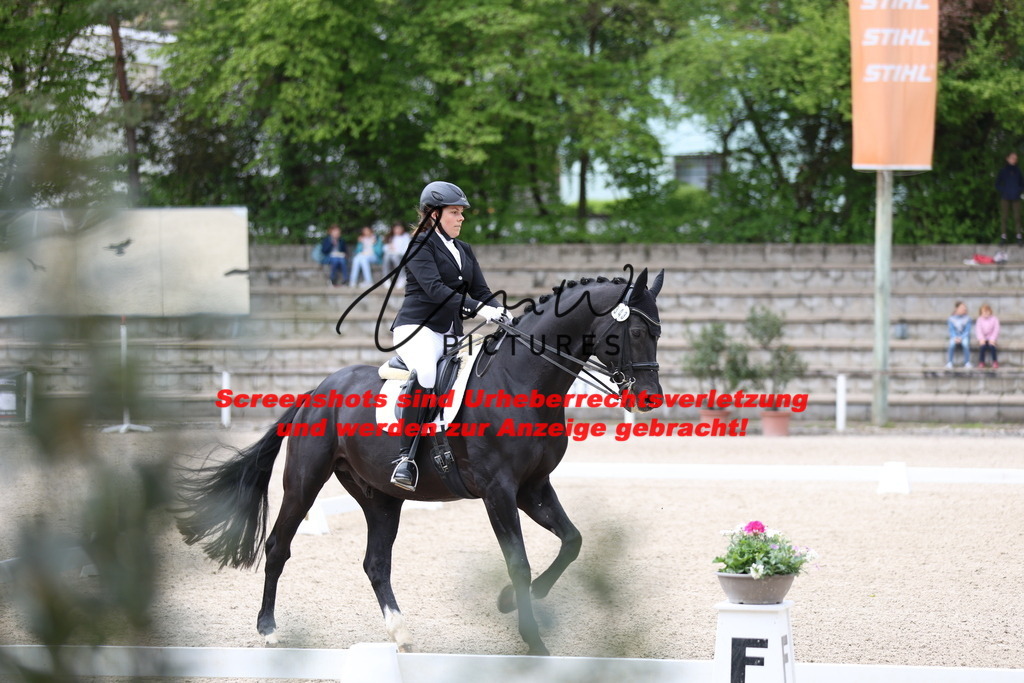 A40A4373 | lmwpictures - Realisiert mit Pictrs.com