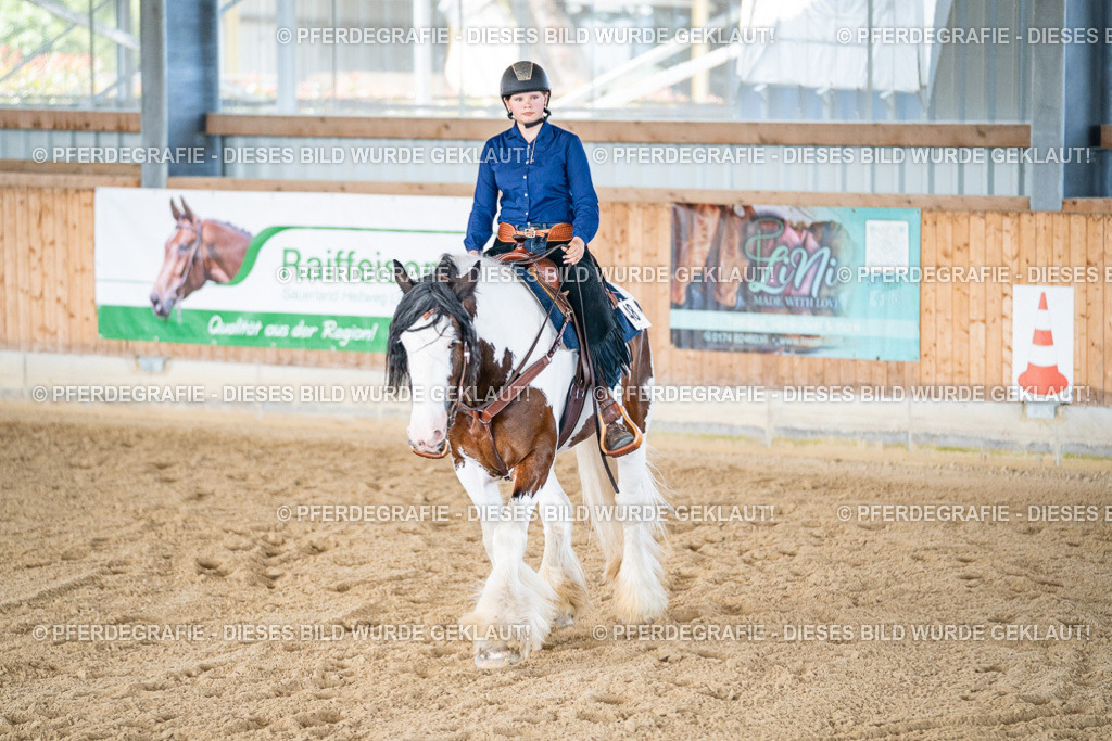 DSC03016 | Pferdegrafie