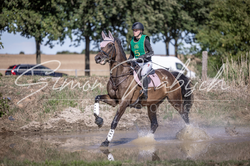 20260906-_3LI5304 | Tierfotografie Pferde, Hunde, Katzen, Haustiere.
Turnierfotografie Reitturniere, Reiten, Springreiten, Dressur in Hanau, dem Main-Kinzig-Kreis und dem Rhein-Main- Gebiet um Frankfurt