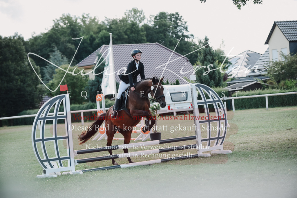 DSC_5781 | Pferde- und Turnierfotografie in Westsachsen. Pferdeportraits, Auftragszeichnungen und intuitive Kunst.