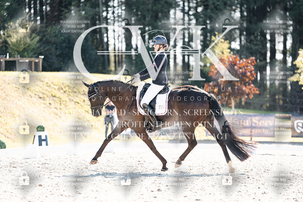 CK905556 | Turnierfotografie Pferdefotografie Trier Rheinland-Pfalz Pferdesport Reitsport Tierfotografie Sportfotografie Pferdevideo Pferdevideografie Equestrianvideography equestrianphotography  - Realisiert mit Pictrs.com