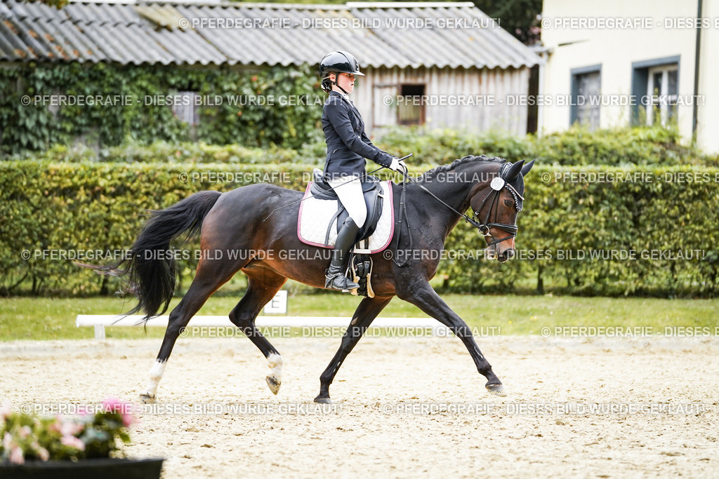 DSC01883 | Pferdegrafie