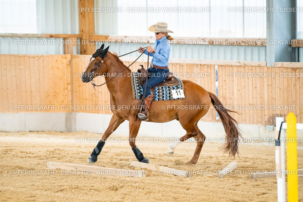 DSC07433 | Pferdegrafie