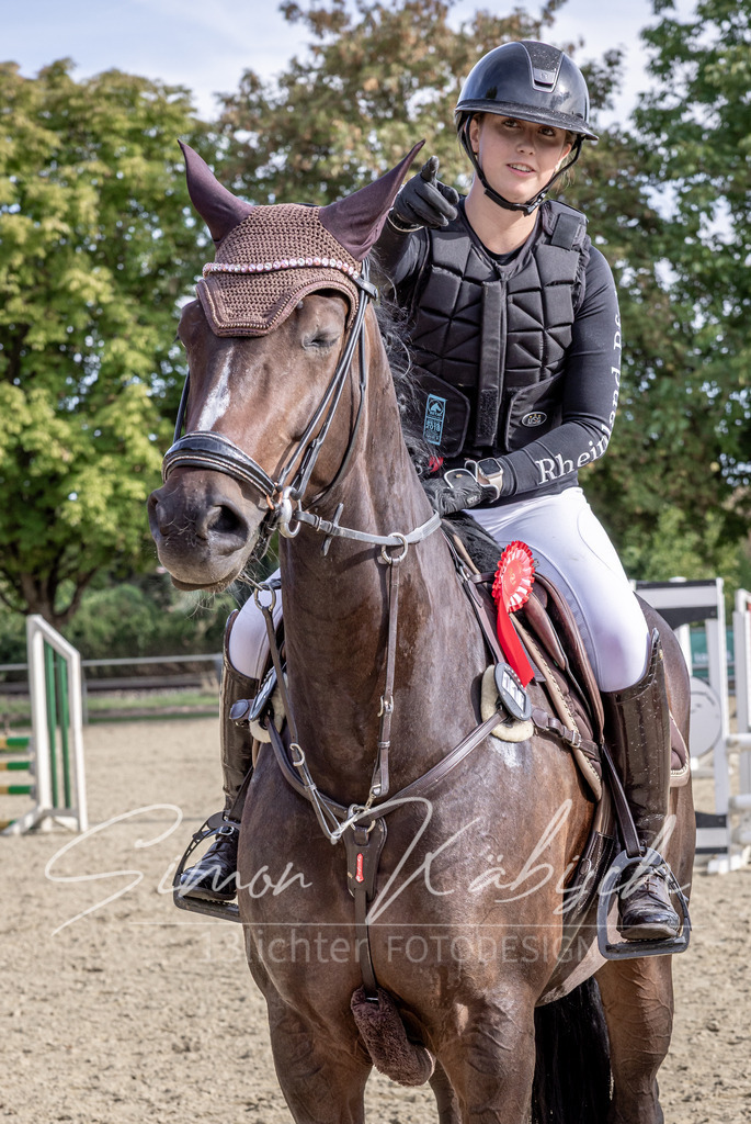 20260906-_3LI6579 | Tierfotografie Pferde, Hunde, Katzen, Haustiere.
Turnierfotografie Reitturniere, Reiten, Springreiten, Dressur in Hanau, dem Main-Kinzig-Kreis und dem Rhein-Main- Gebiet um Frankfurt
