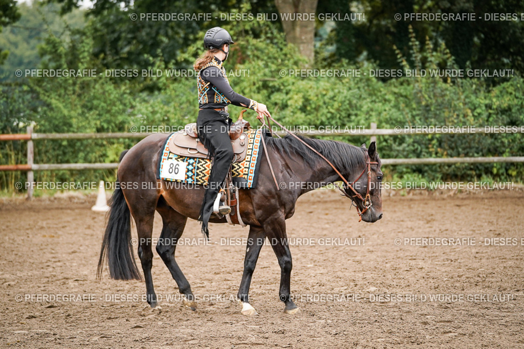 DSC02263 | Pferdegrafie