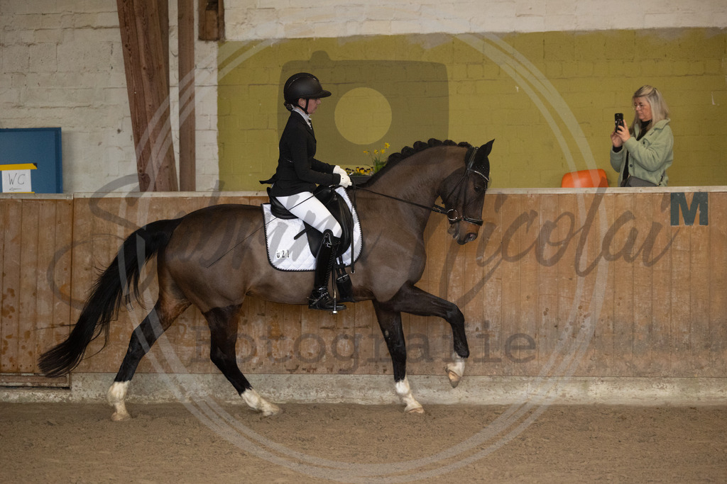 994A8852 | sabrinanicolaifotografie - Realisiert mit Pictrs.com