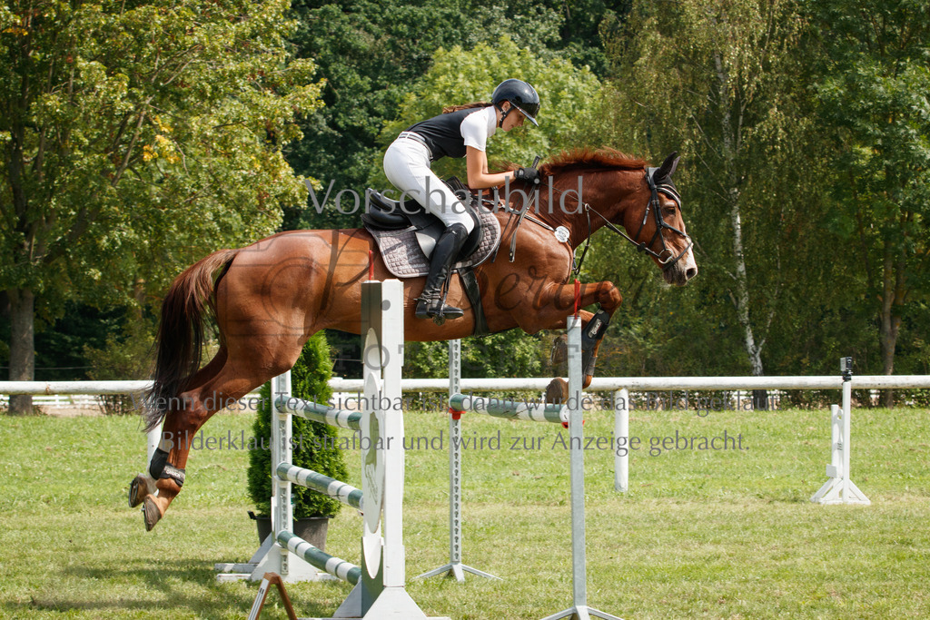 IMG_3443 | P. Berger Fotografie - Realisiert mit Pictrs.com