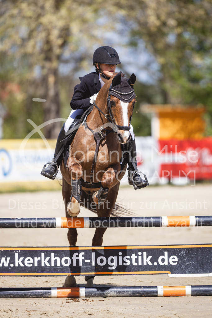 260425_Spenge_3_Stil-WB-334 | Deine schönsten Turniermomente als professionelle Fotos! Entdecke hochwertige Pferdesport-Fotografie im Online-Shop. Jetzt Fotos finden & bestellen!