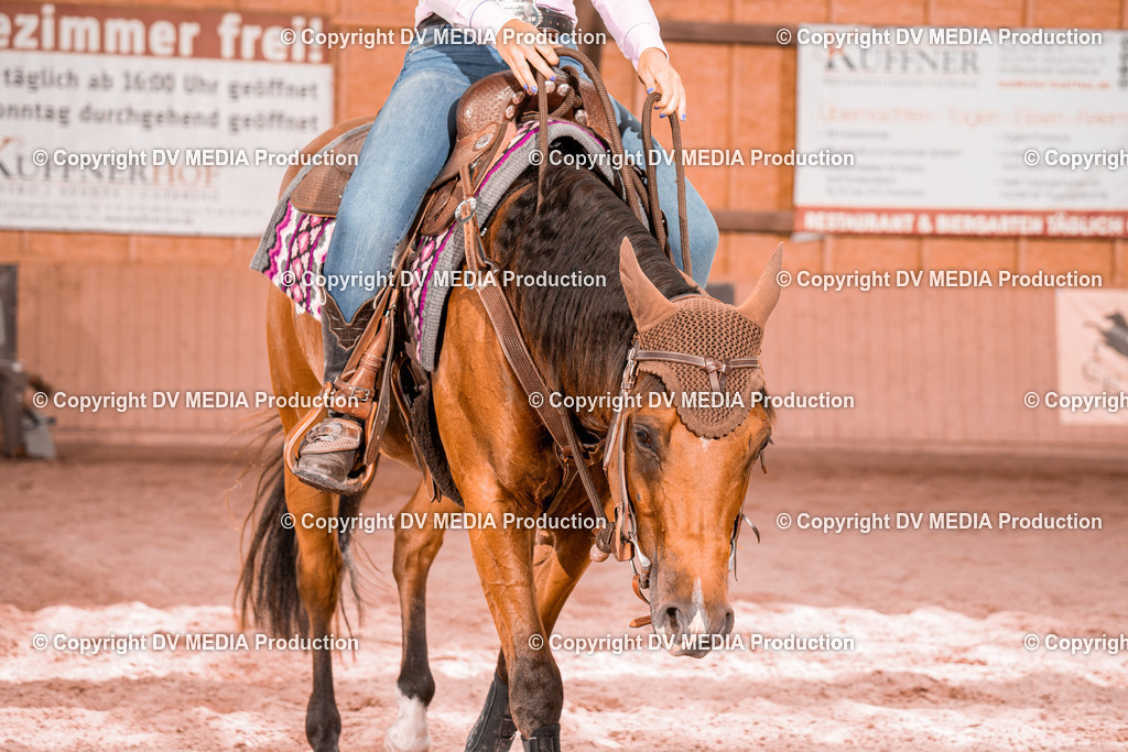 NE300497 | dv-media-shop - Realisiert mit Pictrs.com