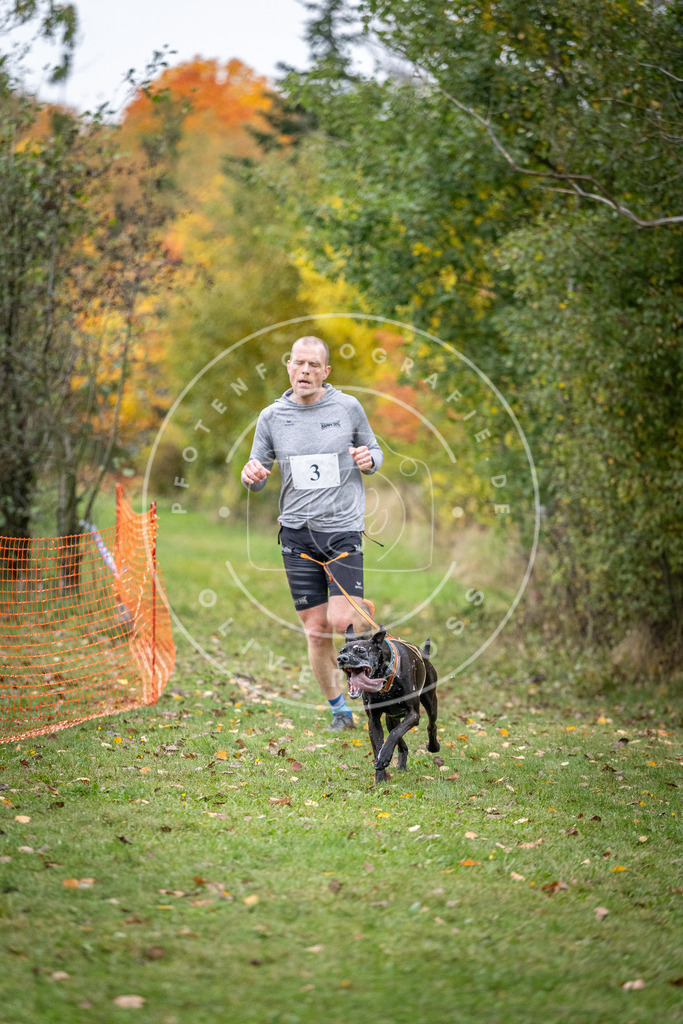 Pfotenfotografie_DV3A1611 | Hundefotografie, Tierfotograf, Pfotenfotografie, Fotoshooting Hund, Hunde Portrait, Hundesport, Hundeportraits, Heideshooting, Hunde, Sportfotograf, Hundefotograf, Turnierhundsport, THS,  - Realisiert mit Pictrs.com