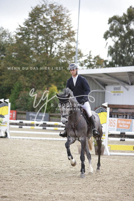 1J2A9339Brian Benedix_ Apollo Passion_ Kn1024_ Havekost | Foto- und Videografie für alles rund ums Pferd. Hochwertige Bilder und Videos vom Spring- und Dressurreiten, Voltigieren & mehr. Jetzt aktuelle Veranstaltungen und Preise im Shop ansehen. - Realisiert mit Pictrs.com