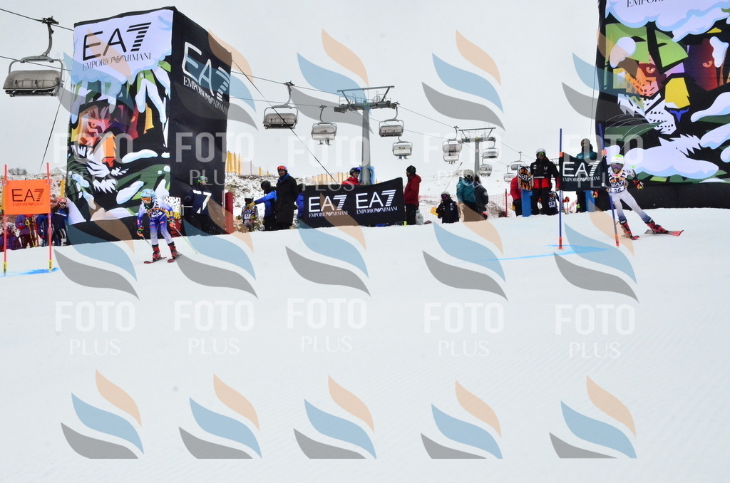 _ELE3411 | holidayphoto