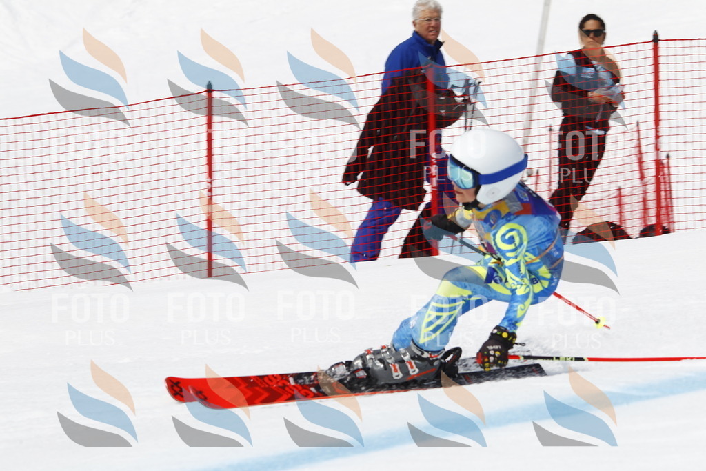 _U3G6282 | holidayphoto