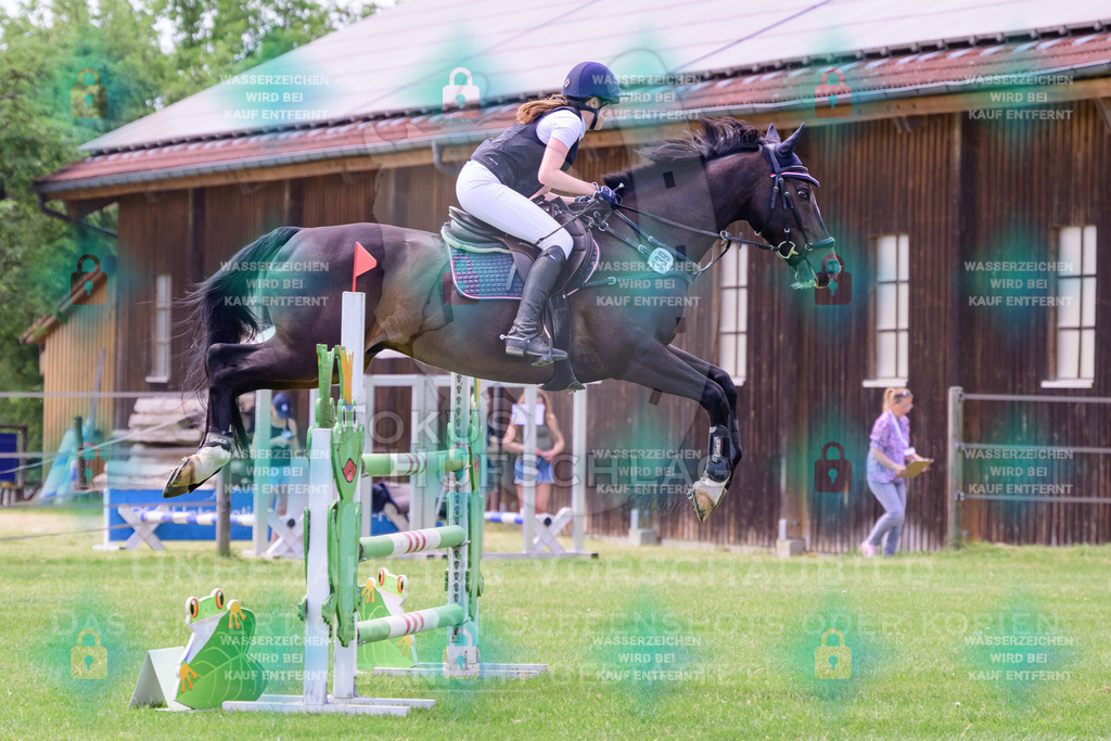 30052026-Forstinning-Prfg23-0214 | Fokus Hufschlag Fotografie - Realisiert mit Pictrs.com
