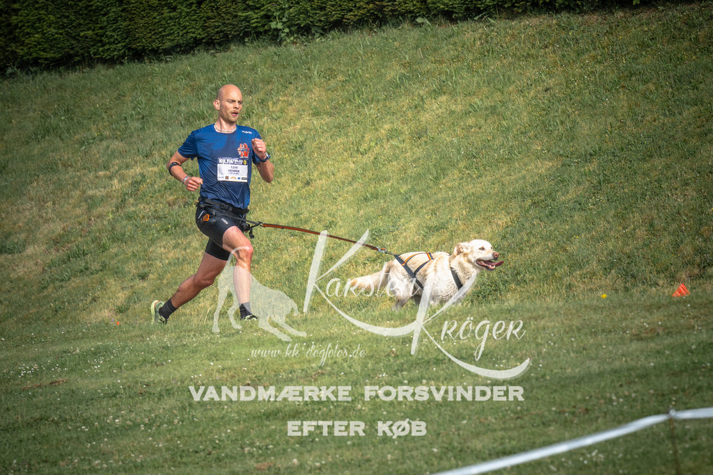 _ZZ944410715 | kk-dogfotos