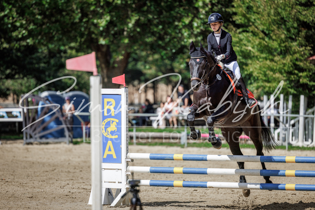 20260905-_3LI8881 | Tierfotografie Pferde, Hunde, Katzen, Haustiere.
Turnierfotografie Reitturniere, Reiten, Springreiten, Dressur in Hanau, dem Main-Kinzig-Kreis und dem Rhein-Main- Gebiet um Frankfurt
