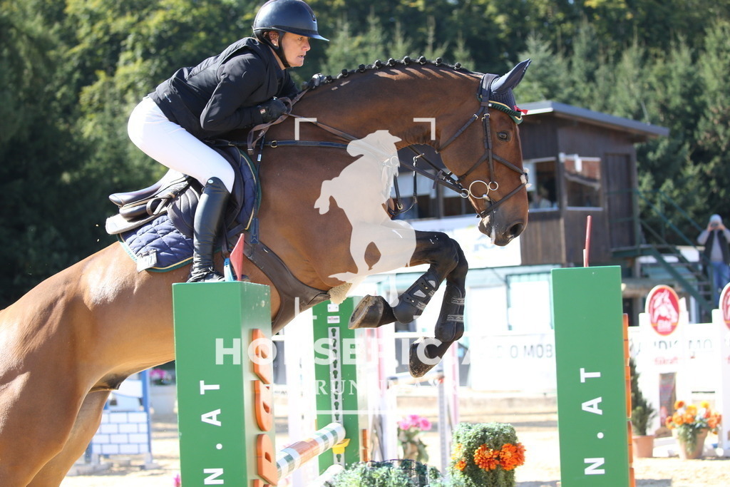 DL2Q2470 | Willkommen bei Brunnmayr - Design & Fotografie – Ihrem Spezialisten für Reitturniere und Pferdeveranstaltungen in Oberösterreich, Salzburg und Bayern! Seit über 17 Jahren sind wir leidenschaftlich dabei.