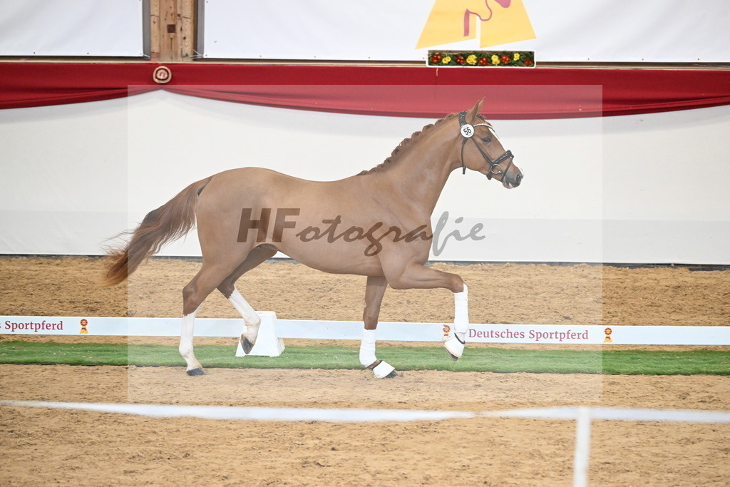 Kat.-Nr. 56 v. Fidelity_Sonnenschein_2250287 | hf-fotografie - Realisiert mit Pictrs.com