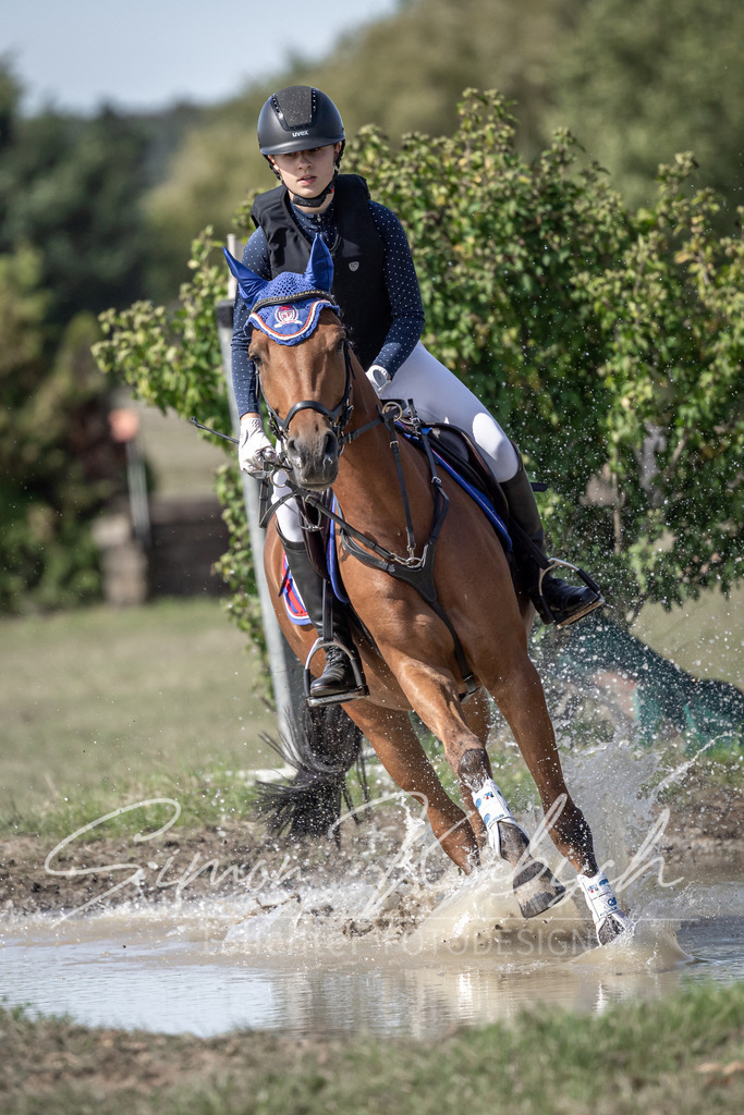 20250907-_3LI9926 | Tierfotografie Pferde, Hunde, Katzen, Haustiere.
Turnierfotografie Reitturniere, Reiten, Springreiten, Dressur in Hanau, dem Main-Kinzig-Kreis und dem Rhein-Main- Gebiet um Frankfurt