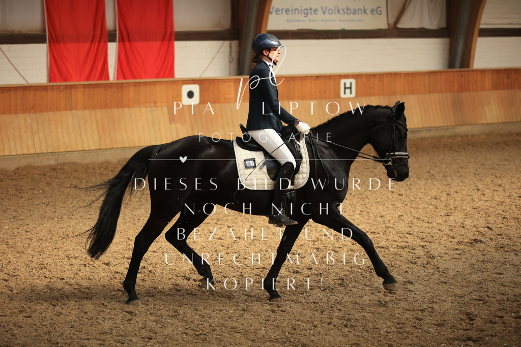 IMGT4861 | pl-fotografie