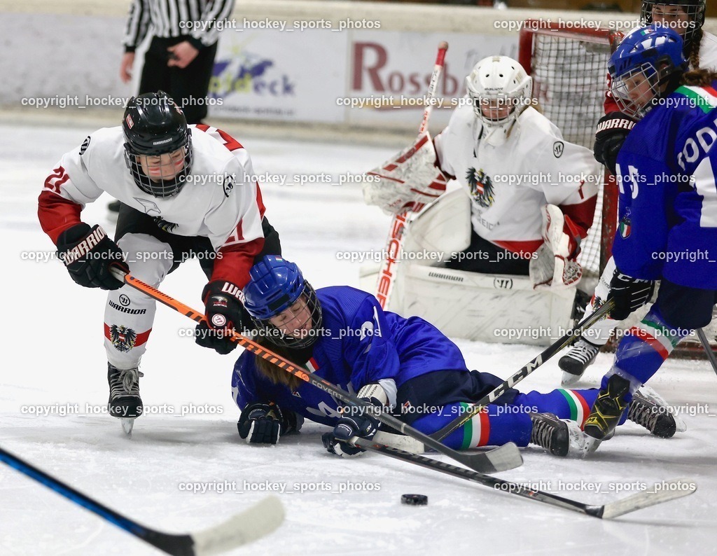 MOWE3799 | hockey sports photos, Pressefotos, Sportfotos, hockey247, win 2day icehockeyleague, Handball Austria, Floorball Austria, ÖVV, Kärntner Eishockeyverband, KEHV, KFV, Kärntner Fussballverband, Österreichischer Volleyballverband, Alps Hockey League, ÖFB, 