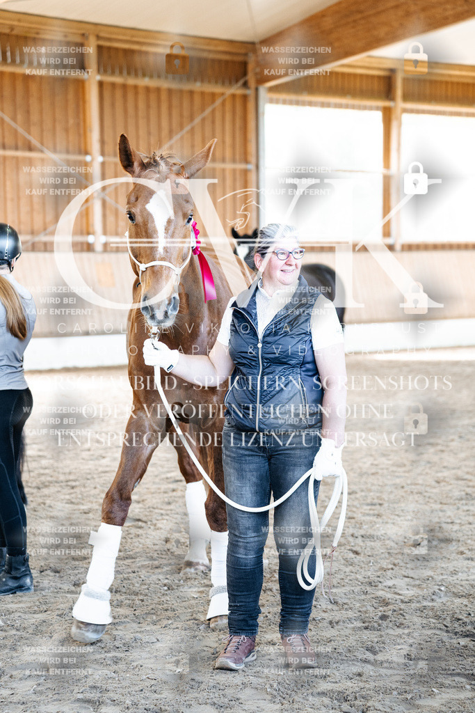 CK703194 | Turnierfotografie Pferdefotografie Trier Rheinland-Pfalz Pferdesport Reitsport Tierfotografie Sportfotografie Pferdevideo Pferdevideografie Equestrianvideography equestrianphotography  - Realized with Pictrs.com