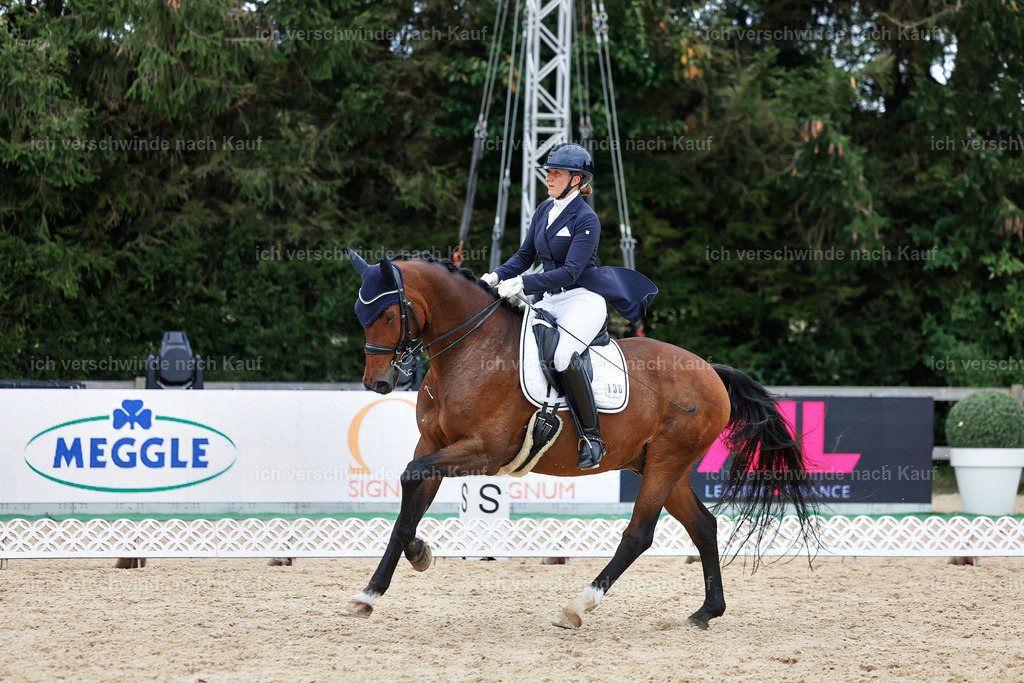 11-036-Dressur S___-StoibPH-1441 | working equitationturnier fotograf videograf stoibphotography marixx film working equitation deutschland reitsport turnierfotografie eventfotografie equestrian events