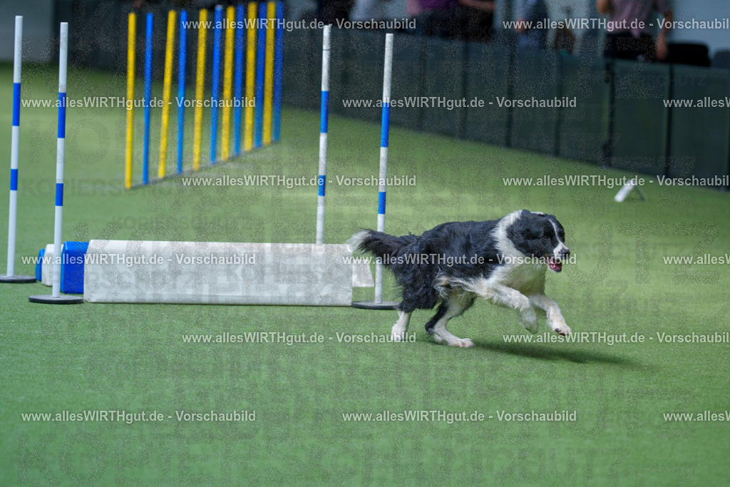 @allesWIRTHgut_Tierfotografie - www.allesWIRTHgut.de - 2604261407-7R503494 | Professionelle Tierfotografie in Mönchengladbach von Daniel Wirth (allesWIRTHgut). Liebevolle & natürliche Bilder von Hunden & Katzen für unvergessliche Erinnerungen.