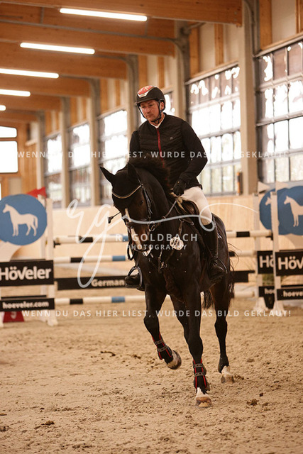 1J2A7096Paul Wiktor_ Majesta_ Kn368_ Glantz_ Hohen Wieschendorf | Foto- und Videografie für alles rund ums Pferd. Hochwertige Bilder und Videos vom Spring- und Dressurreiten, Voltigieren & mehr. Jetzt aktuelle Veranstaltungen und Preise im Shop ansehen. - Realisiert mit Pictrs.com