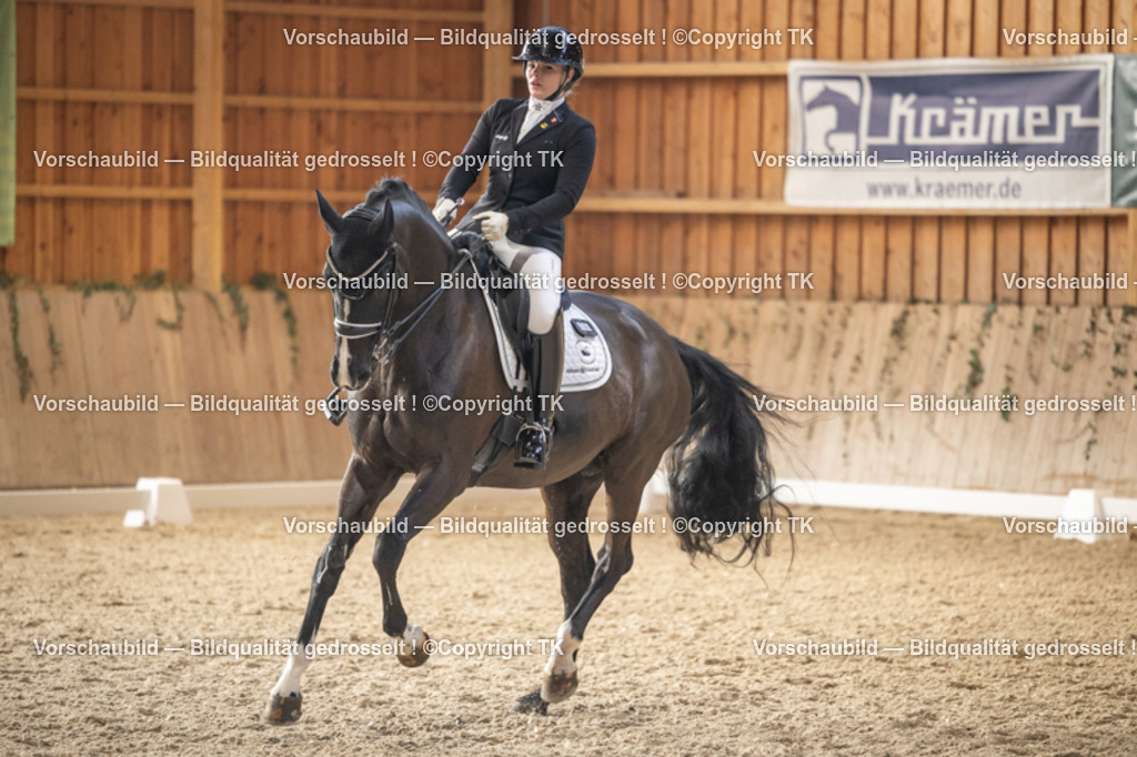 _D5A6378 | Emotionale Pferde- & People-Fotografie rund um Heidelberg, Leimen & Umgebung. Natürliche Fotos von Pferd, Mensch & Familie. Jetzt Termin sichern!