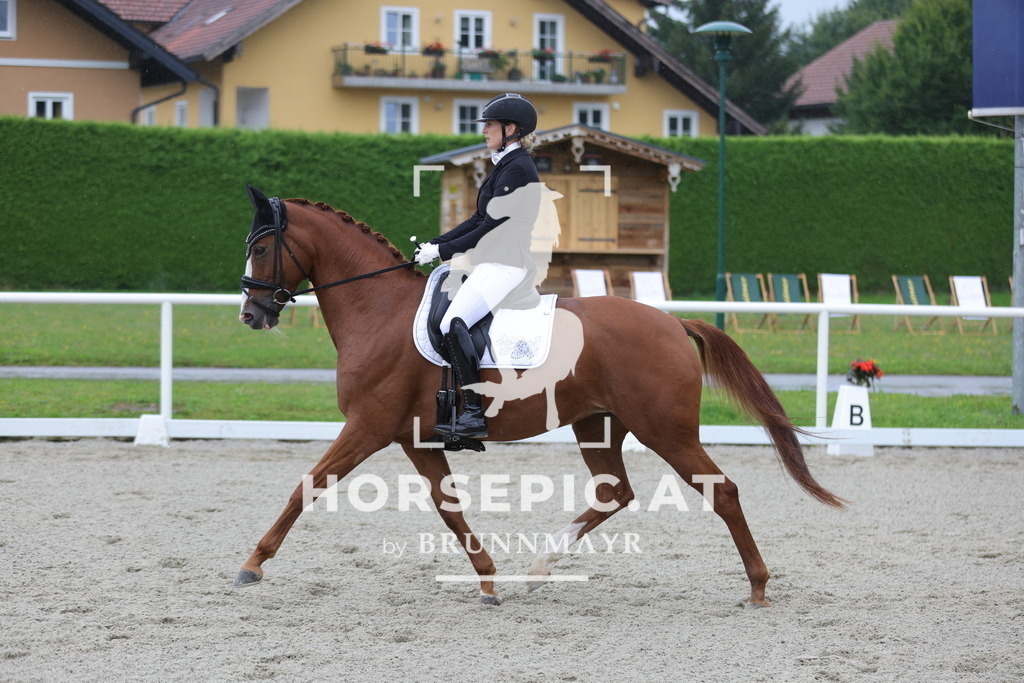 0P6A0114 | Willkommen bei Brunnmayr - Design & Fotografie – Ihrem Spezialisten für Reitturniere und Pferdeveranstaltungen in Oberösterreich, Salzburg und Bayern! Seit über 17 Jahren sind wir leidenschaftlich dabei.