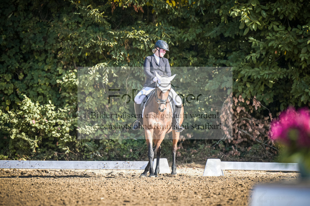 DOS_0959 | Entdecke hochwertige Reitturnierfotos von Foto Oger. Professionell, emotional und authentisch – jetzt Lieblingsmomente im Shop bestellen.Deutschlandweite Turnierfotografie. - Realisiert mit Pictrs.com