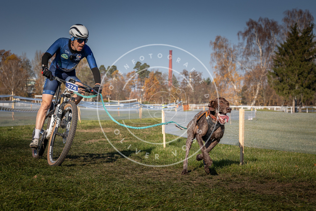 CaniXpix_0L8A6515 | Hundefotografie, Tierfotograf, Pfotenfotografie, Fotoshooting Hund, Hunde Portrait, Hundesport, Hundeportraits, Heideshooting, Hunde, Sportfotograf, Hundefotograf, Turnierhundsport, THS,  - Realisiert mit Pictrs.com