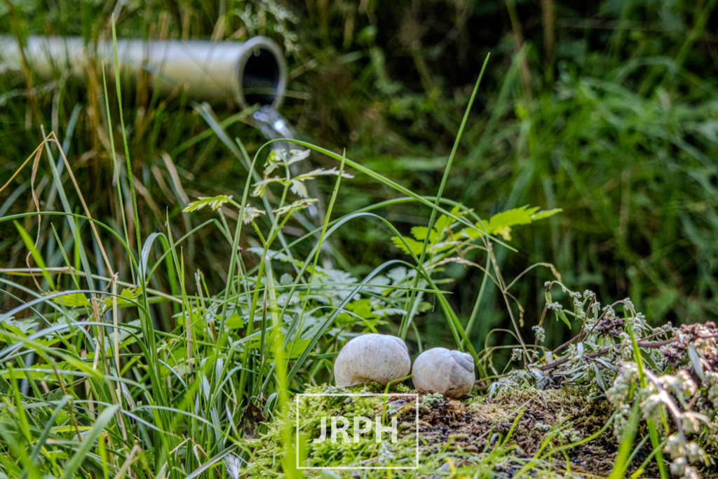 IMG_7972 | jrph - Realisiert mit Pictrs.com