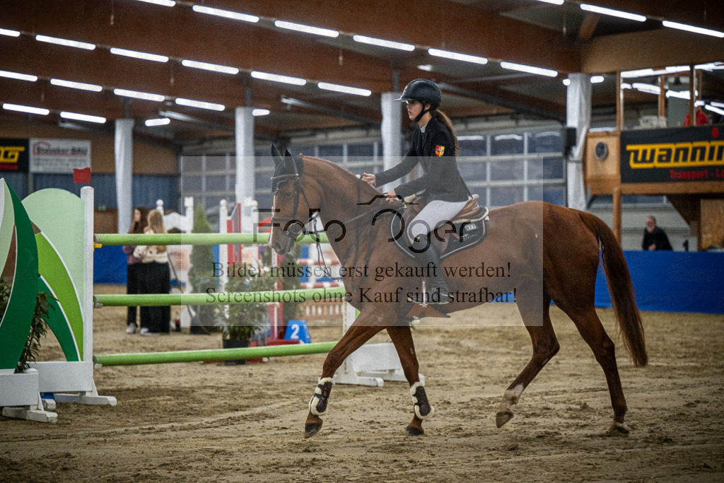 DOS_0308 | Entdecke hochwertige Reitturnierfotos von Foto Oger. Professionell, emotional und authentisch – jetzt Lieblingsmomente im Shop bestellen.Deutschlandweite Turnierfotografie. - Realisiert mit Pictrs.com