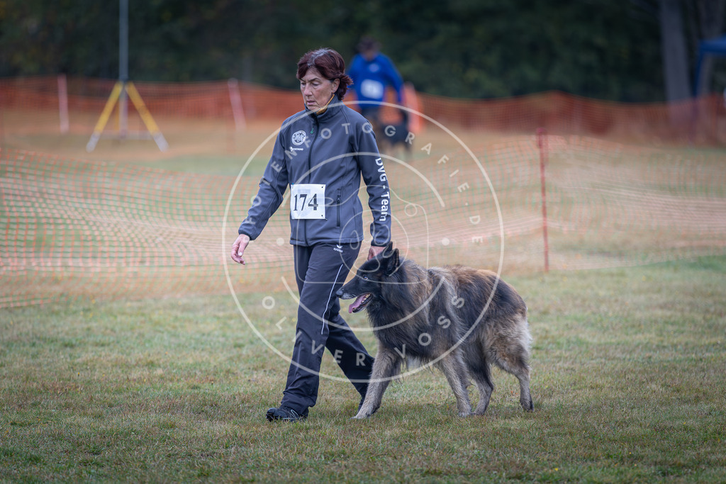 Pfotenfotografie_DV3A9249 | Hundefotografie, Tierfotograf, Pfotenfotografie, Fotoshooting Hund, Hunde Portrait, Hundesport, Hundeportraits, Heideshooting, Hunde, Sportfotograf, Hundefotograf, Turnierhundsport, THS,  - Realisiert mit Pictrs.com