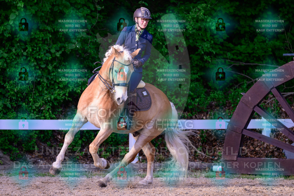 02052026-Giesenbach-03-Speedtrail-0994 | Fokus Hufschlag Fotografie - Realisiert mit Pictrs.com