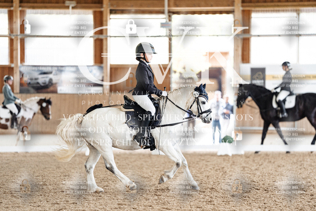 CK900941 | Turnierfotografie Pferdefotografie Trier Rheinland-Pfalz Pferdesport Reitsport Tierfotografie Sportfotografie Pferdevideo Pferdevideografie Equestrianvideography equestrianphotography  - Realisiert mit Pictrs.com