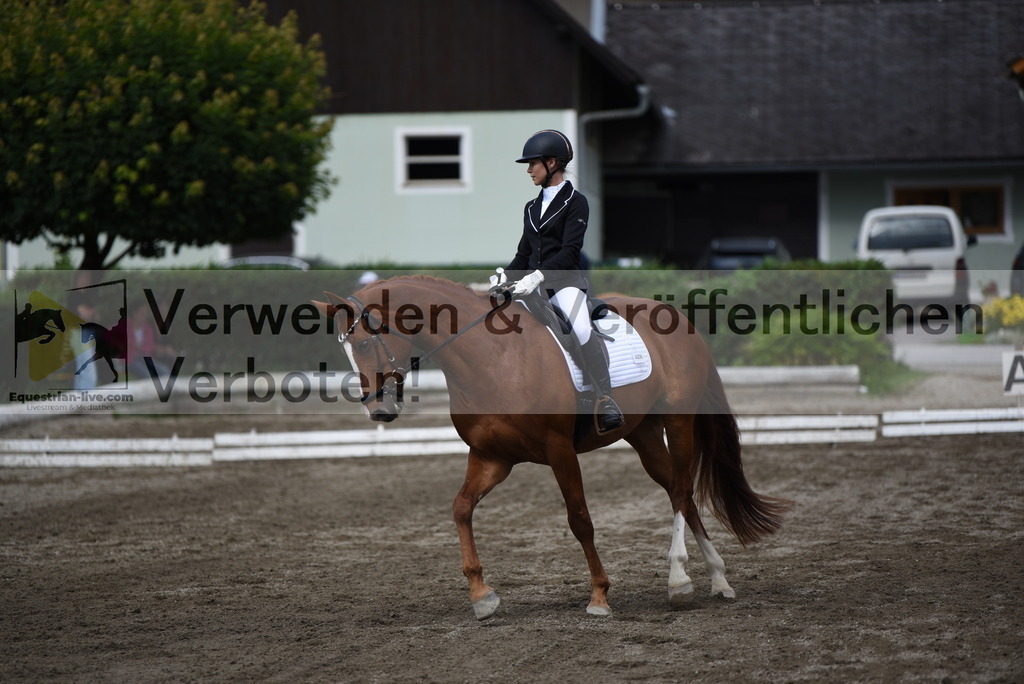 DSC_5115 | equestrian-live-com